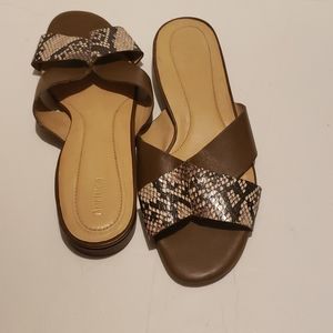 Nurture Natalia slides